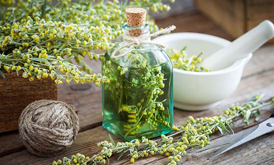 Absinth mit Kräutern Absinth mit Kräutern