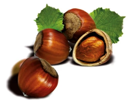 Soplica_Hasselnuesse