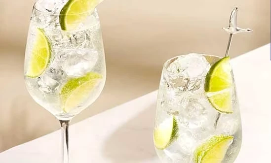 Grey Goose Grand Fizz