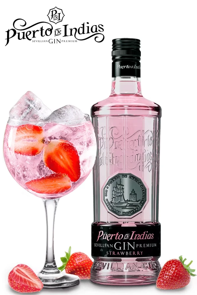Puerto de Indias Strawberry Gin Geschenkset