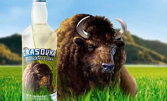 Grasovka Bison Gras Vodka aus Polen