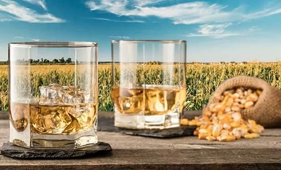 Bourbon Whiskey Zwei Gläser Bourbon und ein Sack Maiskörner vor Maisfeld