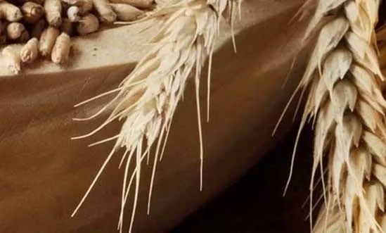 Aberlour Malting