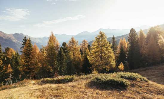 Südtirol – Heimat der Privatbrennerei Unterthurner