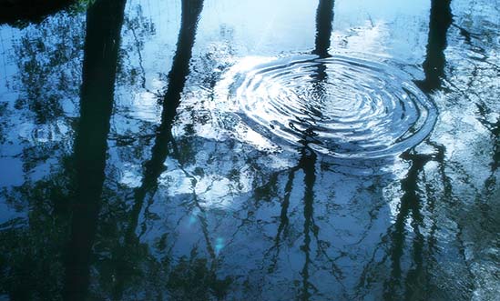 Wasser Whisky Herstellung Wasser Whisky Herstellung