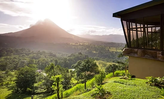 Zuckerrohr f&uuml;r Rum aus Costa Rica