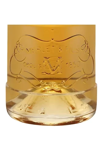 Merlet des Lune d'Abricot Apricot Logo