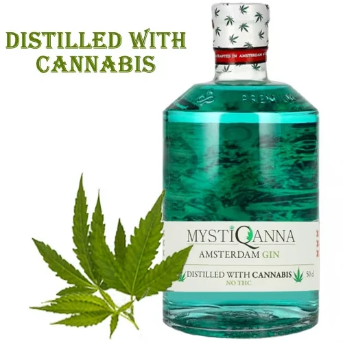 MystiQanna_Gin