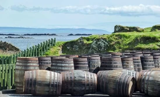 Islay Whisky Fässer von Ardbeg