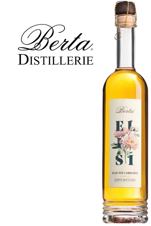 Berta Elisi Grappa