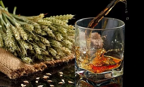 Lowland Whisky Herstellung Lowland Whisky Herstellung mit Gerste