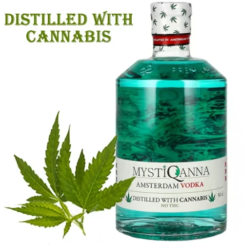 MystiQanna_Gin