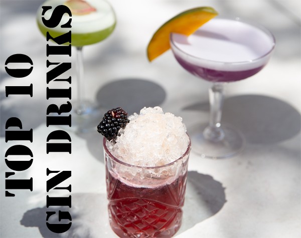 intro-gin-drinks